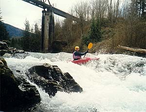 Image for The 24th Annual Green River (WA) Cleanup is Set For May 2, 2009!