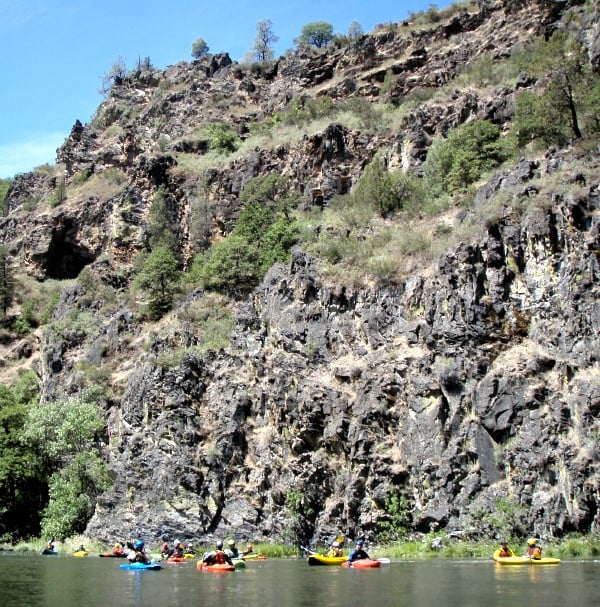 Image for Pit Releases in Jeopardy!