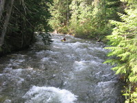 Image for AW Participating in Sullivan Creek Negotiations (WA)