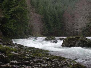 Image for New Dams Proposed for Chehalis River (WA)