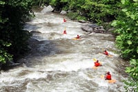 Image for Cheoah River Restoration Report Released - Thumbs Up!