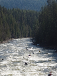 Image for Boat Stickers Now Required in Idaho