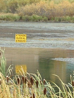 Image for Take Action-Protect Your Right to Float in Colorado!