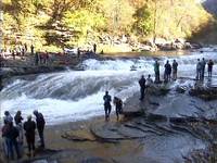 Image for Russell Fork Study Needs Congressional Support