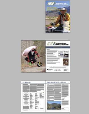 Image for The AW Journal is Going All Color!