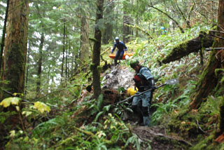 Image for Sultan River (WA) Access Trail Work Party