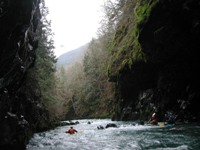 Image for Wild Olympics Campaign (WA)