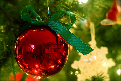 Image for Support Wild Rivers with a Year  End Gift