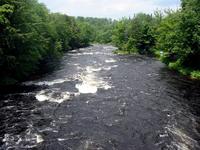 Image for Black Moose Fest / Spring Fling - May 13, 14, 15