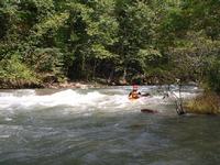 Image for North Branch Potomac (MD) Report Links Water Quality with Recreational Economies