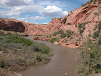 Image for AW Announces New Staff Position in Colorado!