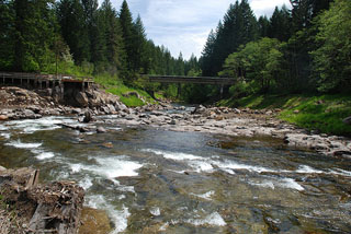 Image for Trout on the Wind: a film about the removal of Hemlock Dam