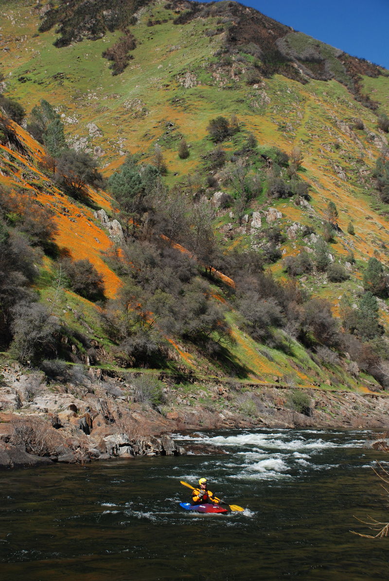 Image for Wild and Scenic Rivers Act and the Merced River threatened by Merced Irrigation