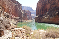 Image for American Whitewater Praises New Reports, Attention to Colorado River