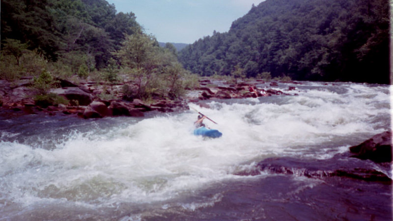 Image for Higgins & Langley Award Recognizes Four Kayakers