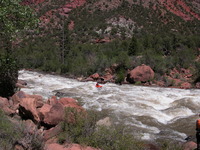 Image for Dolores River (CO) flows