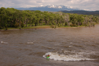 Image for Seeking Yellowstone River Oil Spill Volunteers (MT)