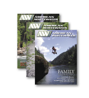 Image for Submit your stories for the "Mental Game" Journal Issue