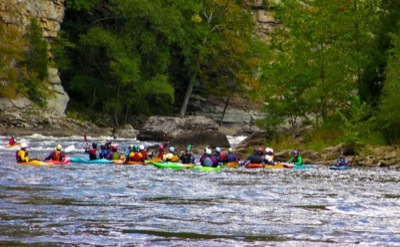Image for 2011 Ladies on the Lower G