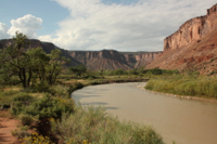 Image for Federal Judge Halts Uranium Leases in Dolores River Basin