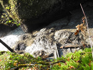 Image for White Salmon River near Condit Dam still off limits  (WA)