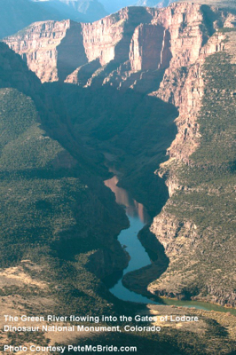 Image for AW Intervenes in Opposition to the Flaming Gorge Pumpback Proposal
