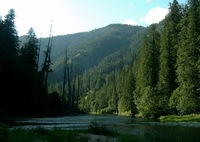 Image for AW Seeks Stream Protection in Idaho Panhandle
