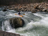 Image for A New River Access Fee for Virginia WMA's