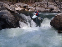 Image for Forest Service Announces New Planning Rule