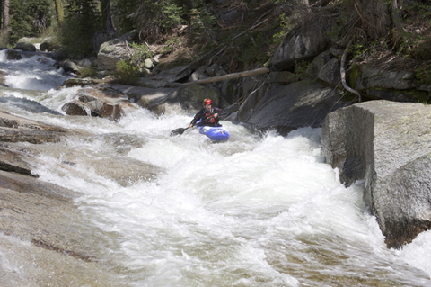 Image for A *Loud* Call for Creeking Stories ... and More!
