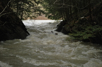 Image for AW and Northeast Paddlers Seek More Class III Opportunities