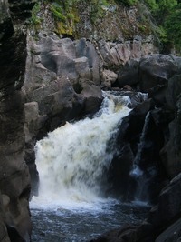 Image for AW Appeals a Bad Decision in New York