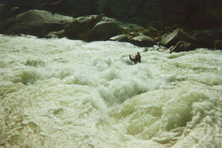 Image for Forest Service Releases Final Rule for Forest Planning