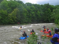 Image for AW Now Hiring a Northeast Stewardship Director