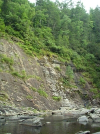 Image for AW Responds to Chattooga Farmstead Proposal