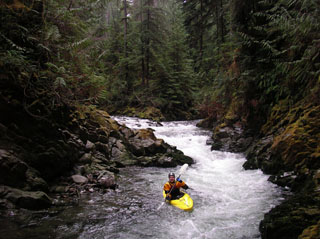 Image for Legislation to Protect Olympic Peninsula's Ancient Forests and Wild Rivers