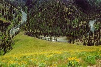 Image for Middle Fork Salmon Protection Grows Thanks to Federal Funding