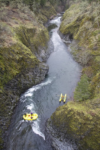 Image for AW Joins Effort to Protect Punch Bowl Falls (OR)