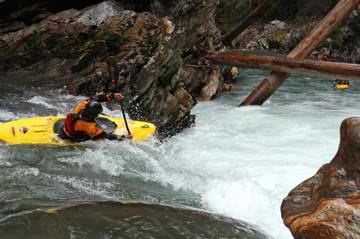 Image for Thunder Creek Receives Wilderness Protection (WA)