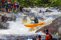 Image for AW Hiring Northeast Stewardship Director