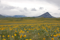 Image for AW Supports the Rocky Mountain Front Heritage Act (MT)