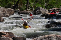 Image for Virginia Stream Recreation Bill Moves Forward - Calls Needed!