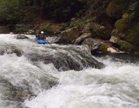 Image for West Fork Tuck Releases Announced (NC)