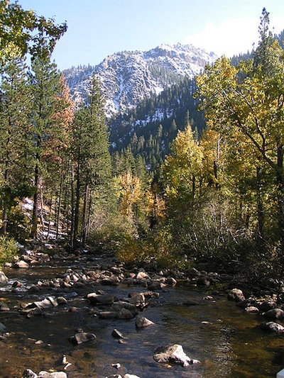 Image for Action Alert–Support River Access in Nevada!