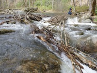 Image for Expect Many Portages on West Fork Tuck (NC)