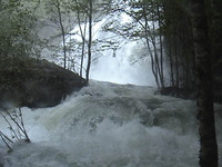 Image for West Fork Tuck Release Cancelled (May 2013)