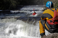 Image for AW Contributes to NC National Forest Planning