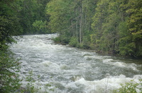 Image for Proposed Dam on Boundary Creek Defeated! (ID)