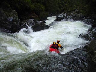 Image for Take Action: Comment on Northwest Power and Conservation Council Protected Areas