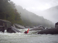 Image for Gauley River (WV) Information for 2013